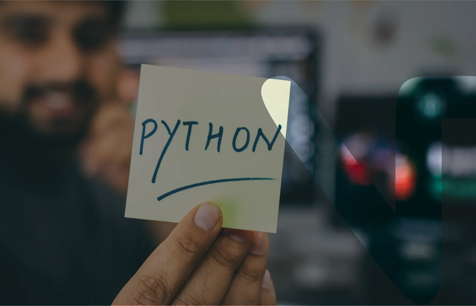 Why is Python Such a Popular Choice Among Data Scientists