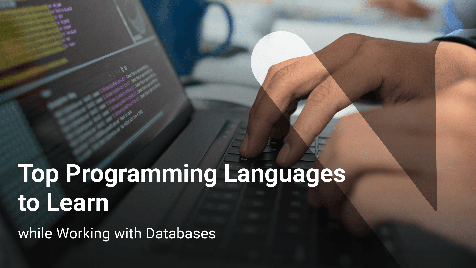 Top Programming Languages To Learn College
