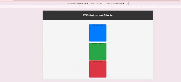 CSS Animation Effects