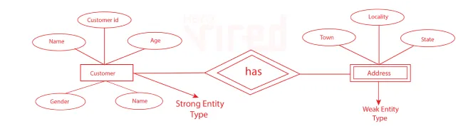 Entity Type DBMS