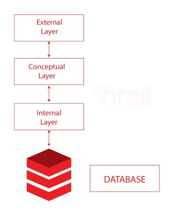 dbms level