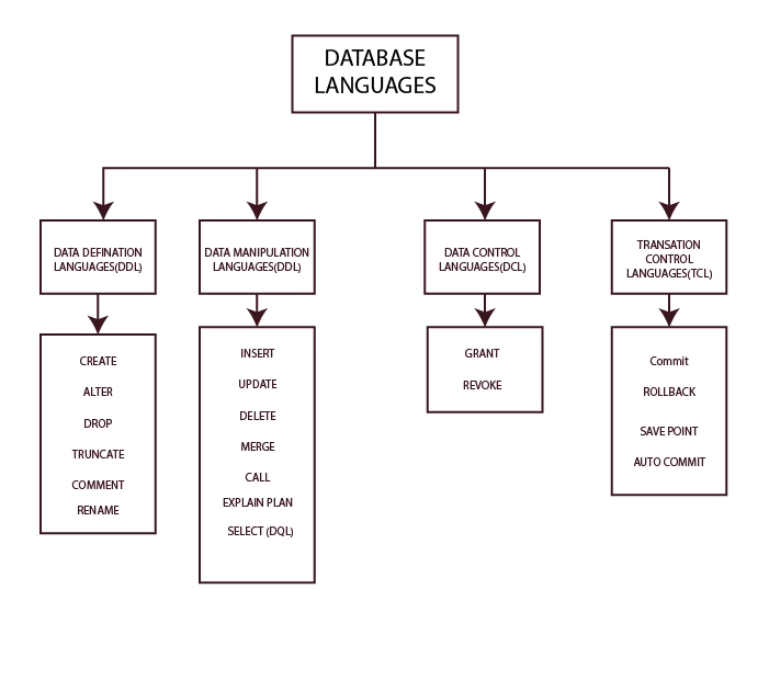 database languages in dbms