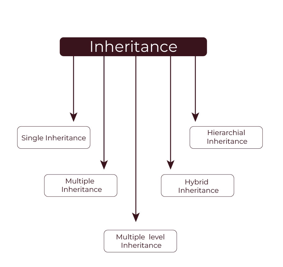 Multiple Level Inheritence