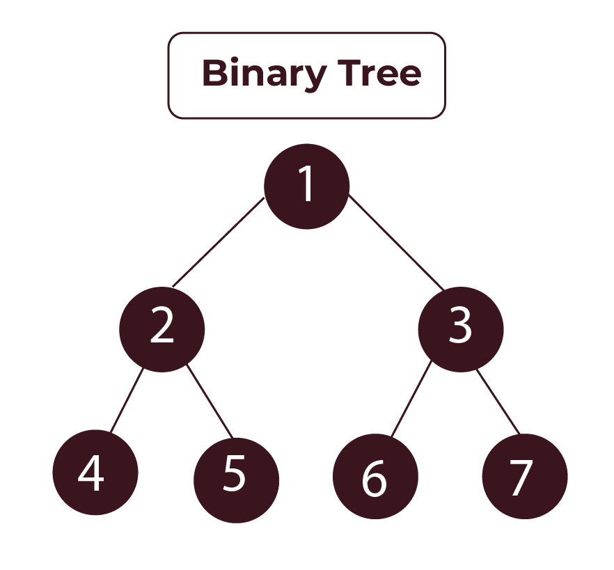 Binary Tree