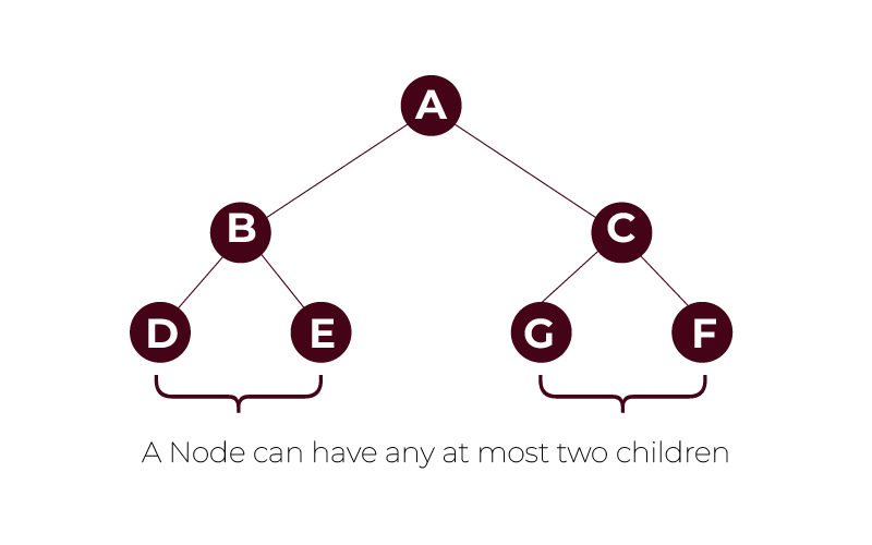 Binary Tree