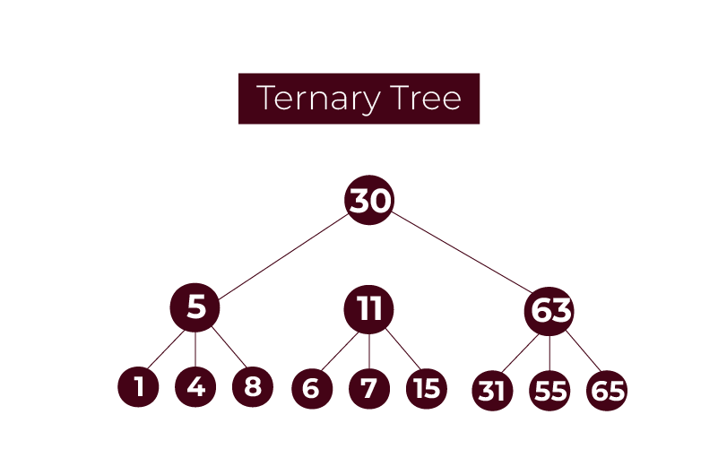 Ternary Tree