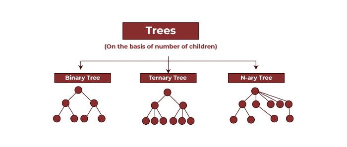 Types of Trees