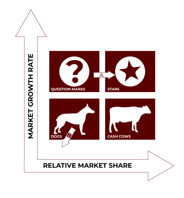 Four Quadrants of the BCG Matrix