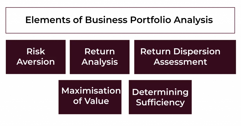 Components of Business Portfolio Analysis