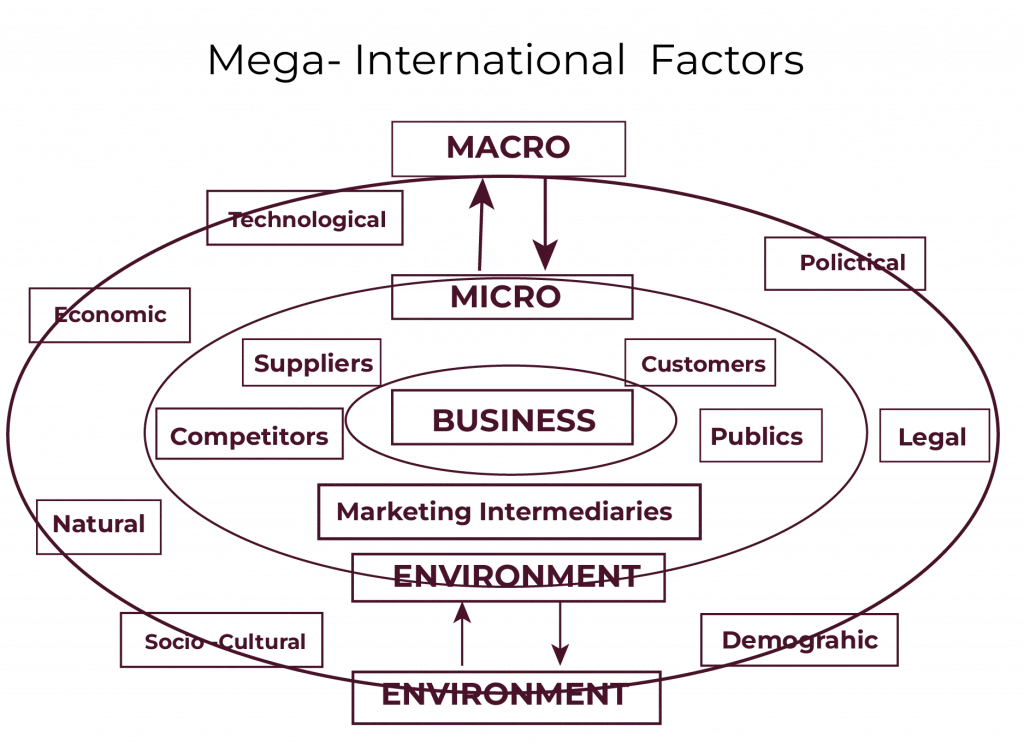 Components of Business Environment
